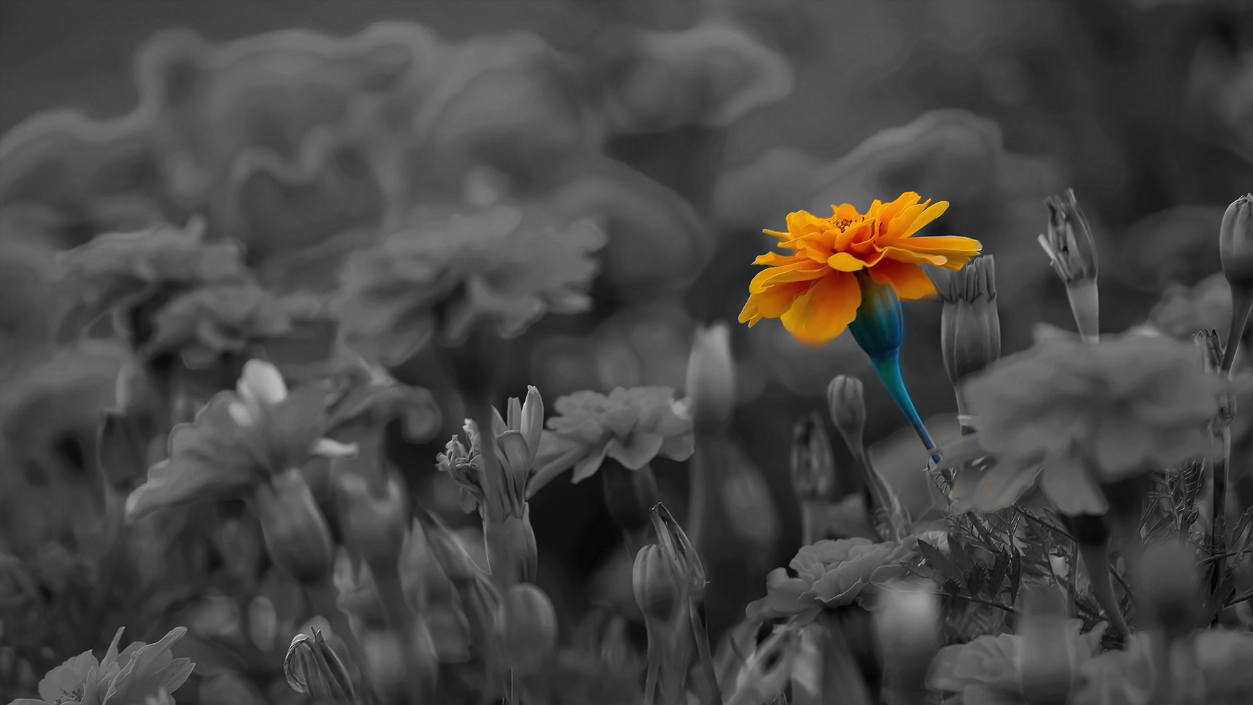 852758-confalon-de-guerra-de-la-horda-cawcaw